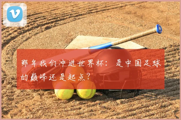 那年我们冲进世界杯:是中国足球的巅峰还是起点?