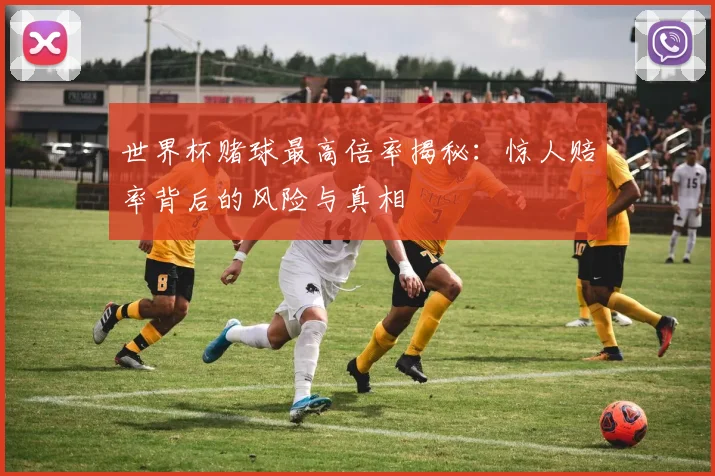 世界杯赌球最高倍率揭秘:惊人赔率背后的风险与真相