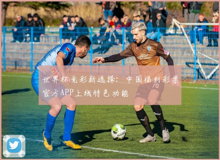 世界杯竞彩新选择:中国福利彩票官方APP上线特色功能