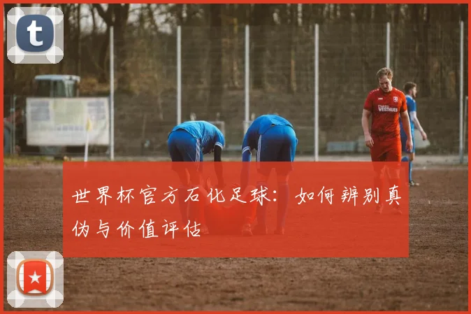 世界杯官方石化足球：如何辨别真伪与价值评估