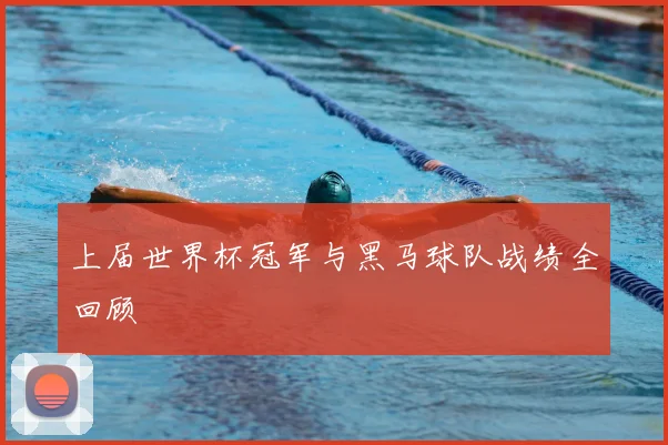 上届世界杯冠军与黑马球队战绩全回顾